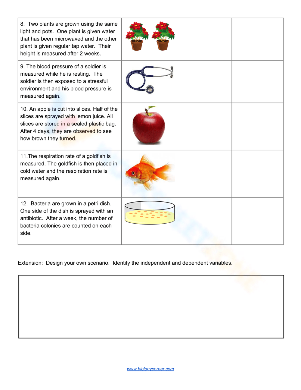 Independent Dependent Variable Math Worksheet
