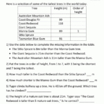 Problem Solving Worksheets Math