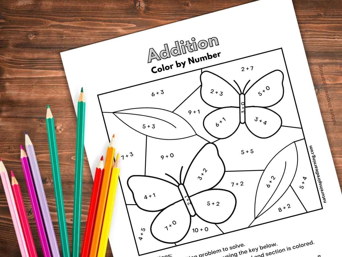 Color By Number Worksheets Math