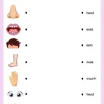 Head And Legs Math Problem Worksheets