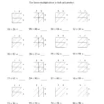 Lattice Multiplication 2 Digit By 2 Digit Worksheet