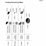Math Skills Transparency 2 Worksheet